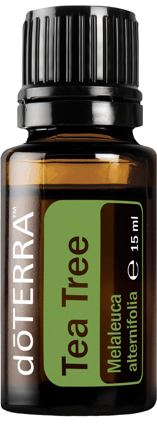 Tea Tree (Teebaum)