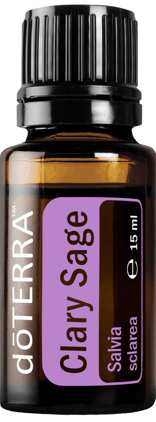 Clary Sage (Muskatellersalbei)